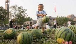 学院 吃瓜,吃瓜群众揭秘校园秘闻