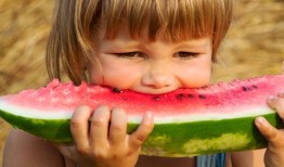 吃瓜少女本瓜,揭秘娱乐圈那些事儿