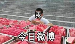 吃瓜你我他,揭秘娱乐圈背后的故事