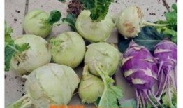 角瓜兰怎么吃,解锁健康美味的食用新方式