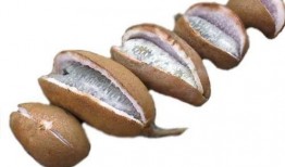 六月瓜怎么吃,解锁夏日清新美味