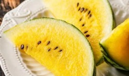 瓜瓜吃瓜简介版,揭秘娱乐圈幕后故事