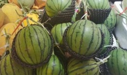 灌云吃瓜,探寻地方特色美食之旅