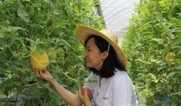 河源和平吃瓜,夏日炎炎，吃瓜群众欢乐多