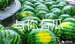 学院 吃瓜,吃瓜群众揭秘校园秘闻