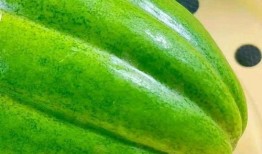 月吃月瓜,共赏人间美好时光