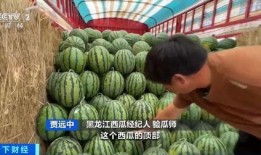 滑县最新吃瓜,揭秘当地热门事件背后的真相