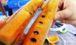 小腾吃瓜,揭秘娱乐圈那些不为人知的幕后故事