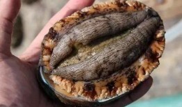 刘大瓜吃蚌,一场意外引发的美食奇遇