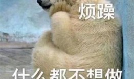 白兔吃瓜图片表情包,萌态可掬，瓜趣横生