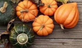 吃方瓜降血糖,天然降糖佳品，守护血糖健康