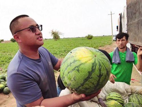 jj吃瓜比赛,jj吃瓜比赛精彩瞬间大盘点