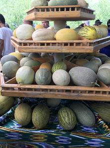 吃瓜 新疆,探寻瓜果飘香的地域风情